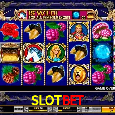 SLOTBET São Paulo - All Bonuses